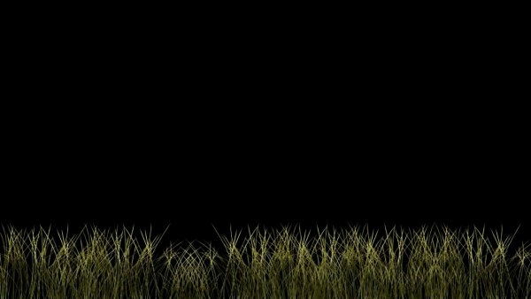 Темная трава фон