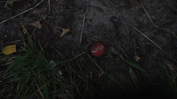 Кровь в лесу на траве ночью