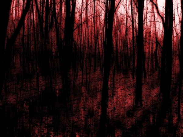 Страшный красный лес