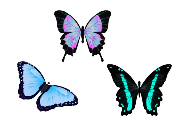 Три бабочки на белом фоне