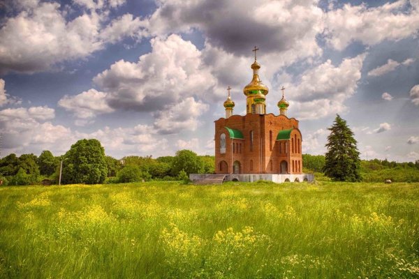 Русь Церковь лес