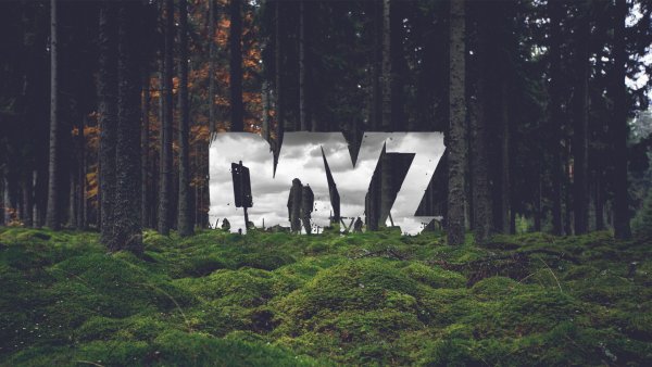 Картинки DAYZ Standalone 4к