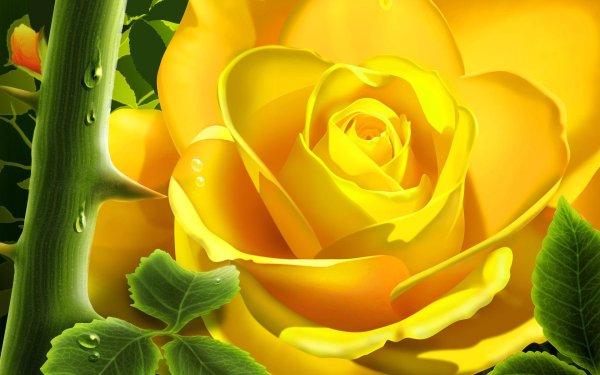 Роза срезочная желтая
