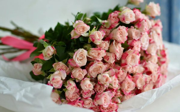 Цветы букет роз красивые на фоне