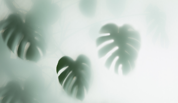 Тропические листья за матовым стеклом