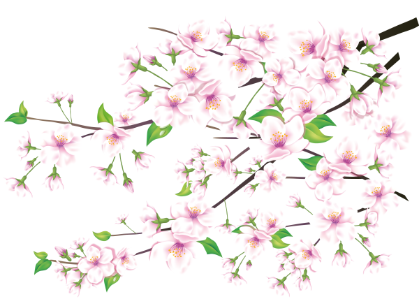 Весенние цветы на прозрачном фоне
