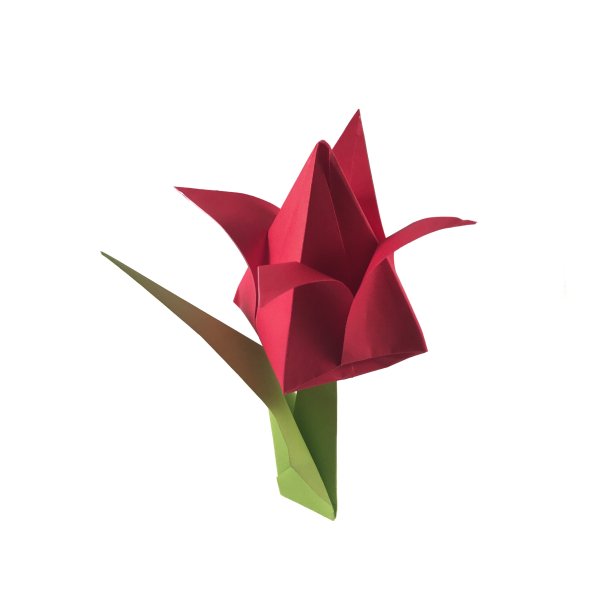 Красный тюльпан оригами