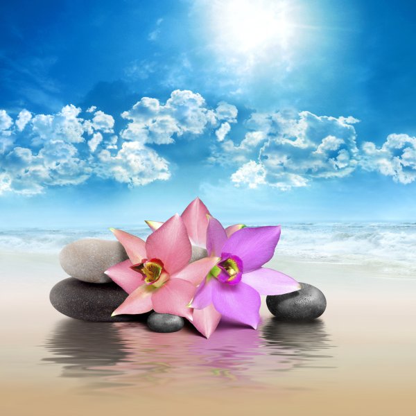 Орхидея и море