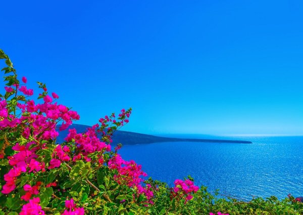Греция бугенвиллия море