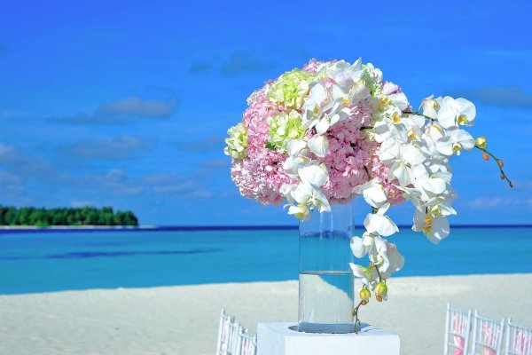 Букеты цветом на фоне моря