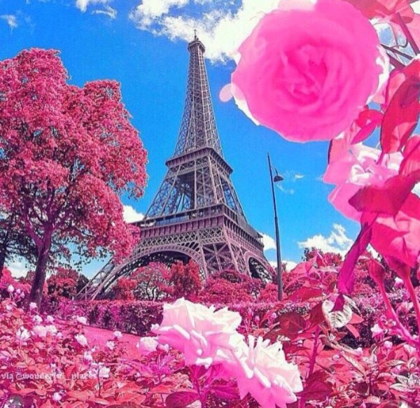 Париж Эйфелева башня цветы