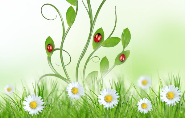 Травка с цветочками