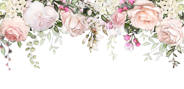 Акварельные цветы на белом фоне