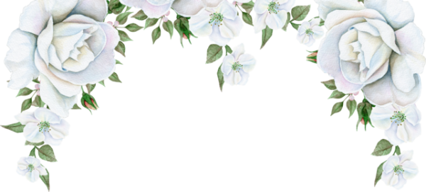 Рамка из цветов на белом фоне
