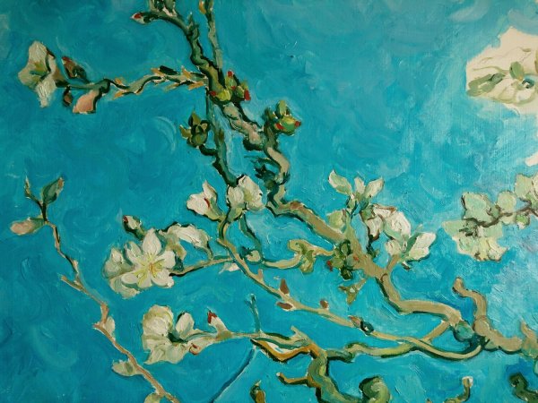 Винсент Ван Гог цветущие ветки миндаля 1890