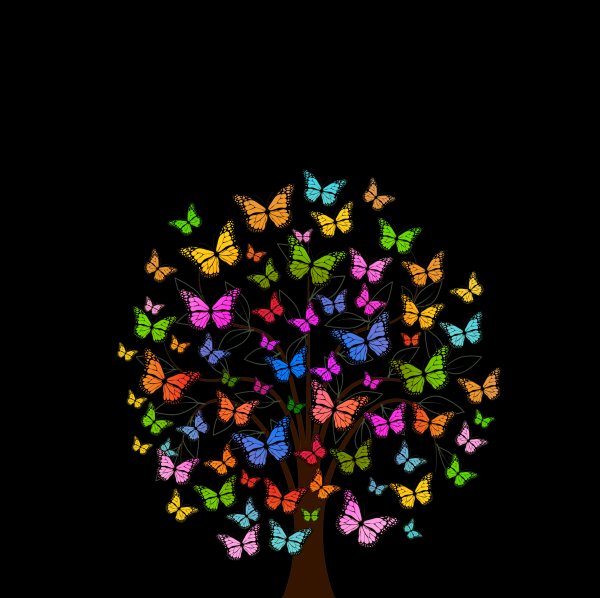 Разноцветные бабочки на тёмном фоне