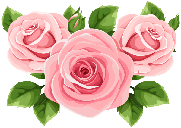 Розовые цветы на прозрачном фоне