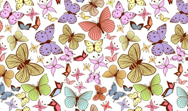 Цветной фон бабочки