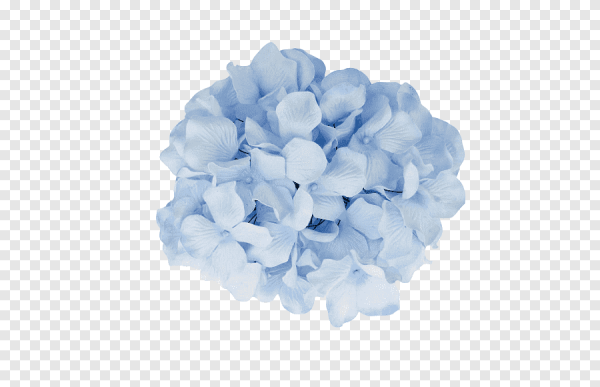 Синие цветы на прозрачном фоне