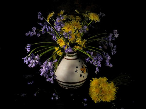 Цветок и ваза на темном фоне