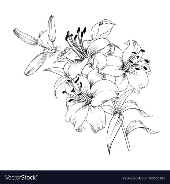 Эскизы рисунков цветы