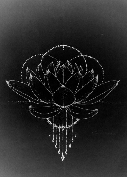Сакральная геометрия цветок лотоса