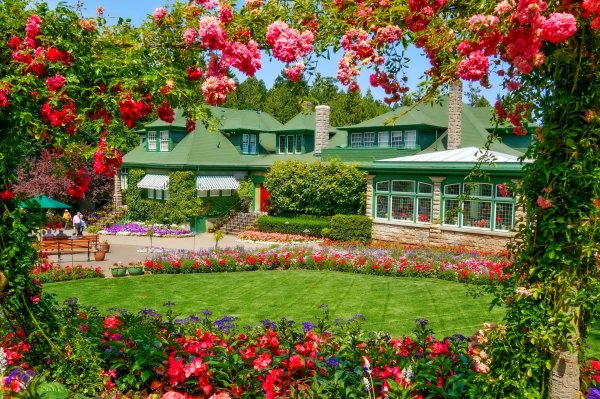 Сад Бутчартов в Канаде розовый сад