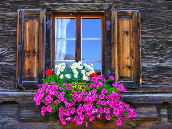 Деревенский домик с цветами