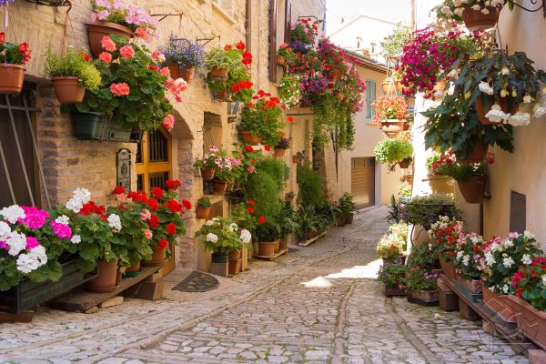Итальянский дворик с цветами
