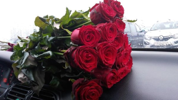 Букет красных роз в машине