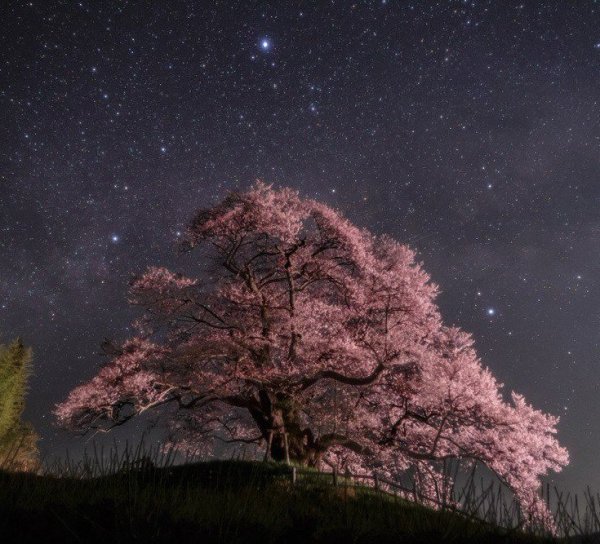 Звездное небо в Японии