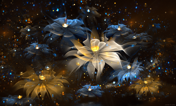 Ночной цветок Луноцвет