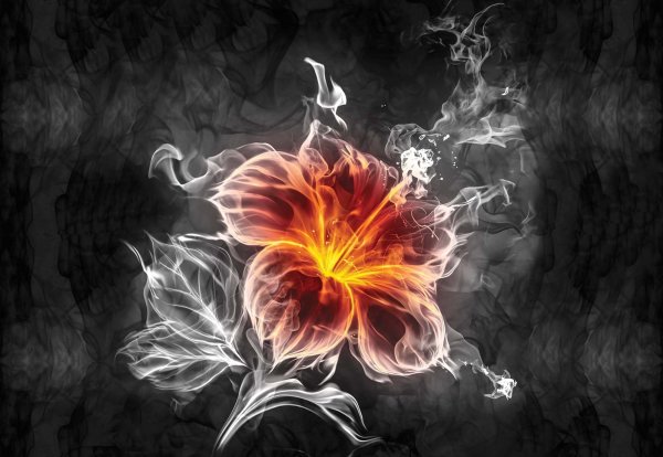 Цветок из дыма