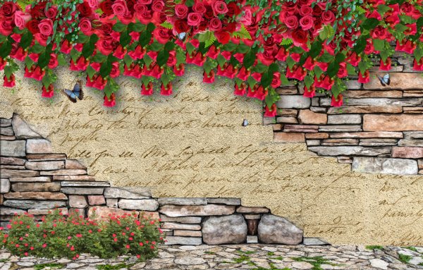Цветы на каменной стене