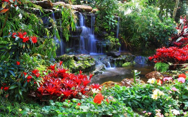 Аланья водопад цветы
