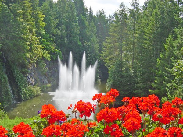 Сады Бутчартов в Канаде фонтан роз