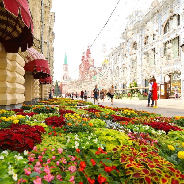 Фестиваль цветов на красной площади Москва