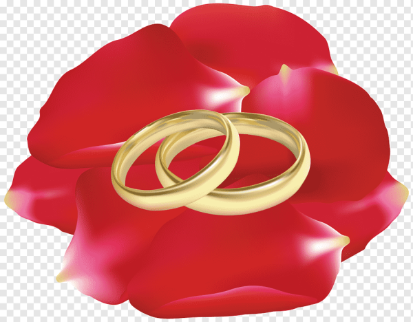 Свадебные кольца символика