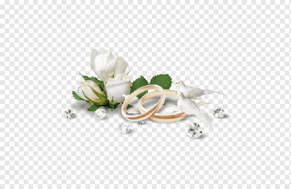 Свадебные цветы без фона