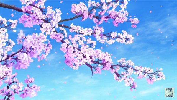 Sakura валлпаперс