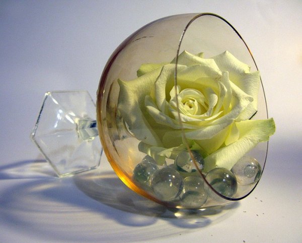 Розы в стеклянной вазе вода