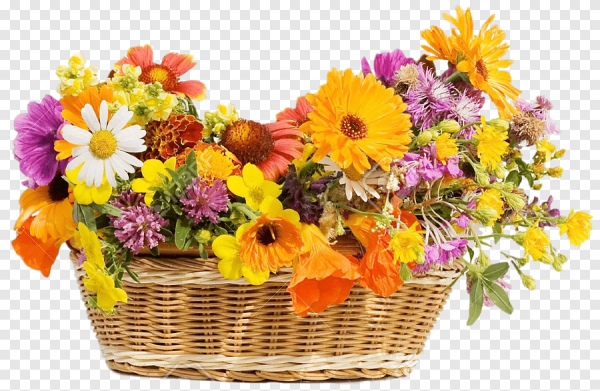 Цветы в корзине на прозрачном фоне