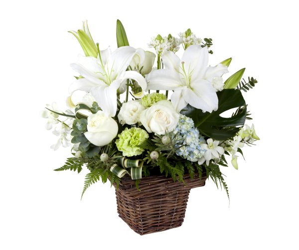 Цветок в корзине на белом фоне