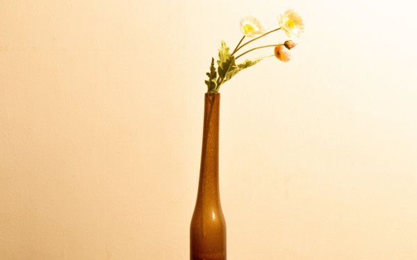 Цветок в вазе на коричневом фоне