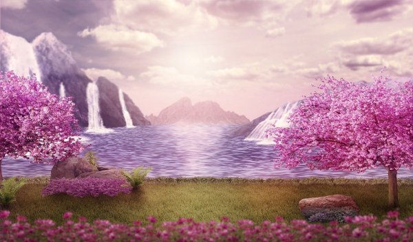 Пейзаж с цветущей сакурой