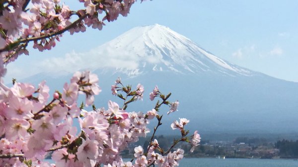 Гора Есино Япония сад Сакуры