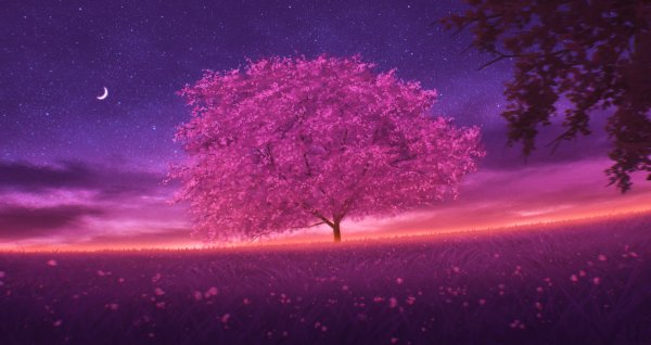 Цветущее дерево на фоне неба