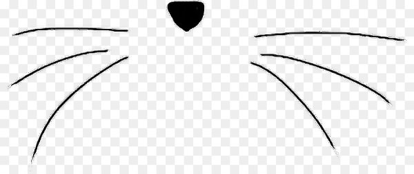 Усы кота на белом фоне