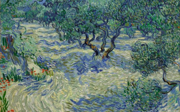 Винсент Ван Гог оливковые деревья 1889
