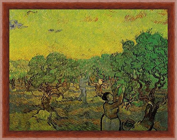 Картина Ван Гога оливковая роща